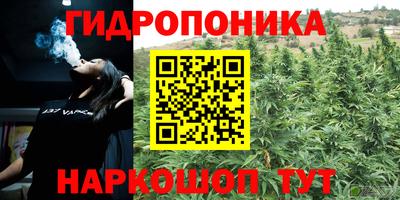 apvp Краснокаменск